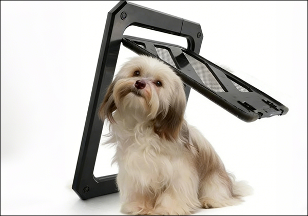 Integrated pet mesh screen door system combining reinforced mesh with a pet access flap.