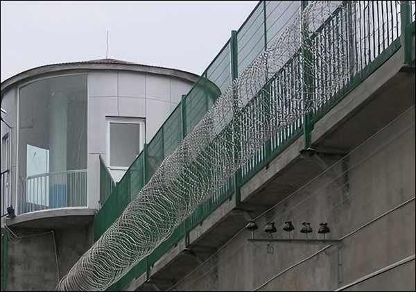 Prison 358 mesh with razor wire coils delivers a high-security perimeter barrier
